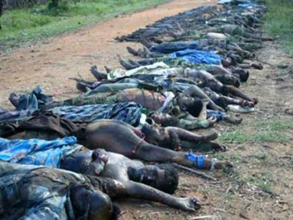 11,000 பேர் உயிர் ஊசல் 11,000 பேர் உயிர் ஊசல்