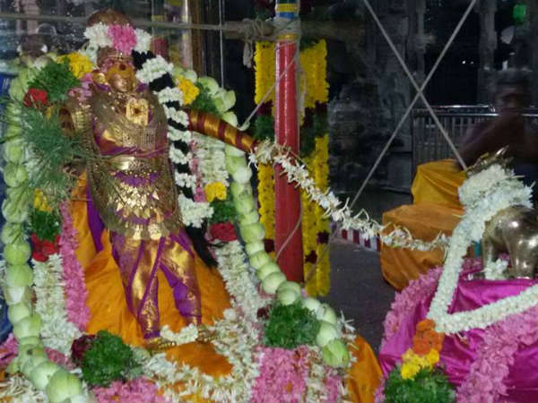 அம்மன் வீதி உலா அம்மன் வீதி உலா