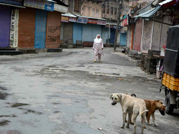 Unrest Jammu Kashmir and Pellets- Interview 