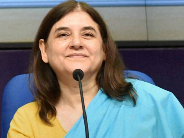 Ban On Jallikattu, Respect Supreme Court, Says Maneka Gandhi Ban On Jallikattu, Respect Supreme Court, Says Maneka Gandhi