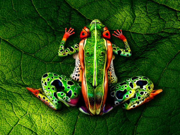 ஓவியரின் உழைப்பு ஓவியரின் உழைப்பு