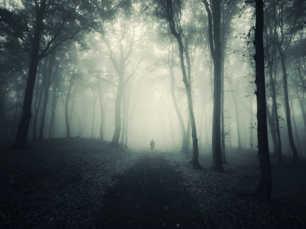 இயற்கையைக் காப்பாற்ற வேண்டும்... 