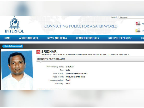 இண்டர்போல் 