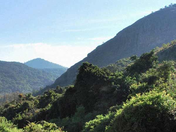 உதகையில் அவதி