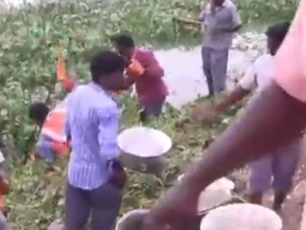 பூச்சியியல் நிபுணர்கள் ஆய்வு