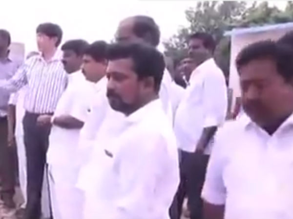 தொல்லை தந்த பூச்சிகள்
