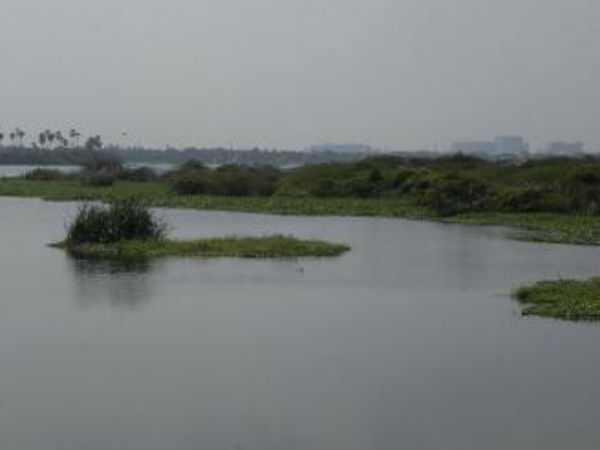 பரந்து விரிந்த கொரட்டூர் ஏரி