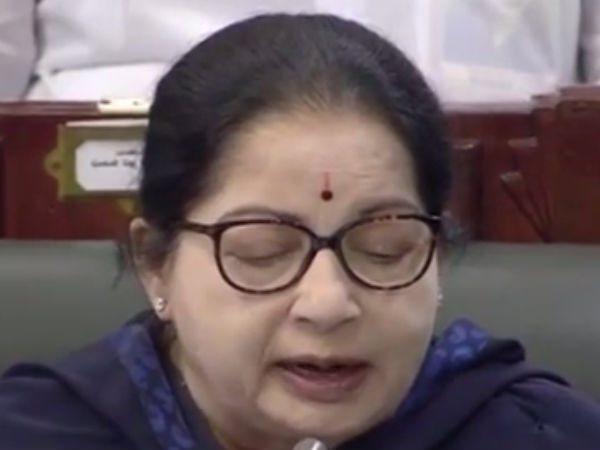 அம்மா முக்கியம்