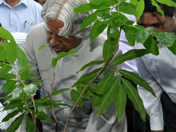 விருதுகளுக்கு பெருமை