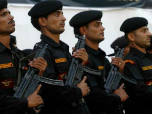 இசெட் பிளஸ்சே வழங்கியிருக்காங்க 