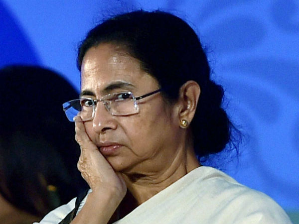 தொடரும் கைது நடவடிக்கை தொடரும் கைது நடவடிக்கை