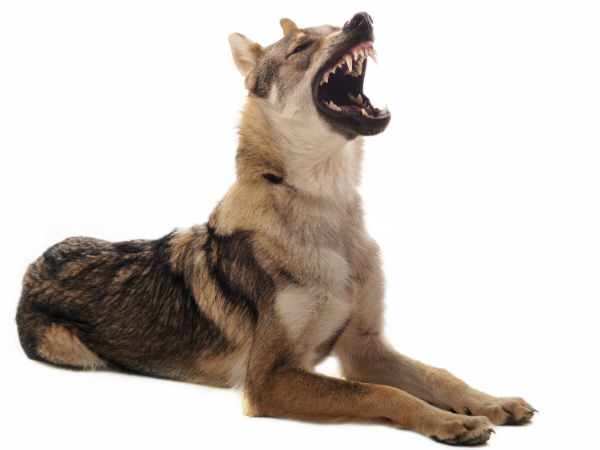 புள்ளி விபரம்... 