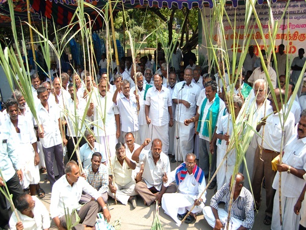 sugarcane farmers arrested in chennai