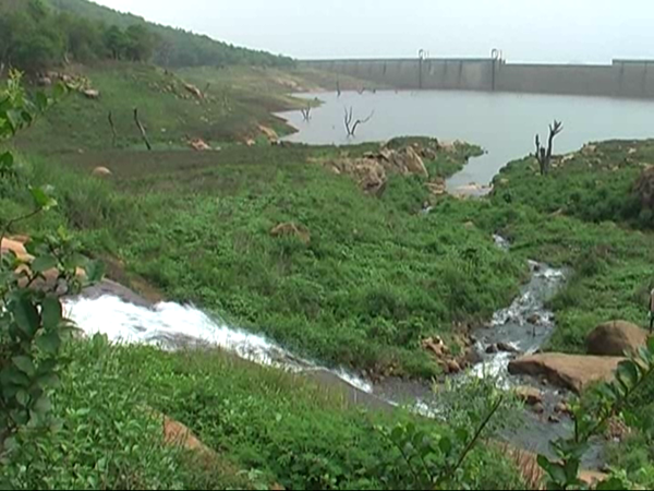 Farmers Happy With Rain In nellai district