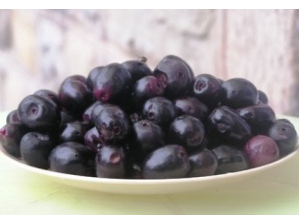 நாவல்பழம்