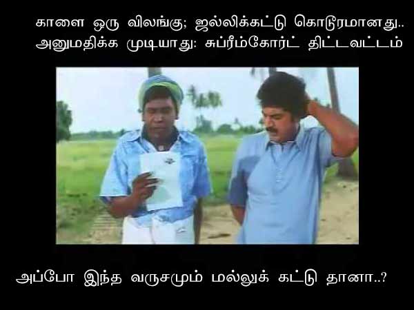Memes on Jallikattu 