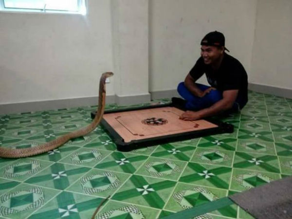 Thai man marries Pet snake, believes his dead girl friend reincarnated Thai man marries Pet snake, believes his dead girl friend reincarnated