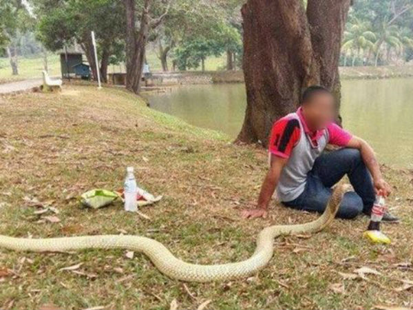 Thai man marries Pet snake, believes his dead girl friend reincarnated Thai man marries Pet snake, believes his dead girl friend reincarnated