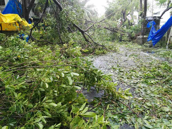 போக்குவரத்து இல்லை