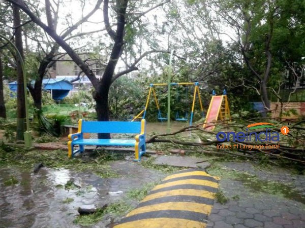 23 பேர் பலி