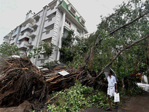சூறையாடிய புயல் சூறையாடிய புயல்