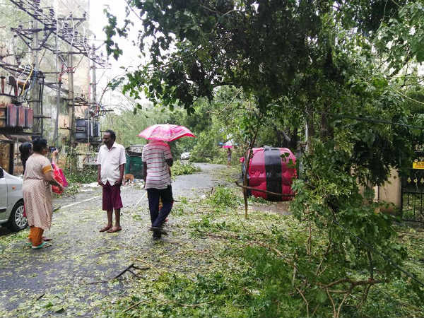 உயிர் விட்ட மின்கம்பங்கள் 