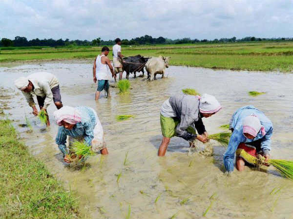 பெண் விவசாயி தற்கொலை 