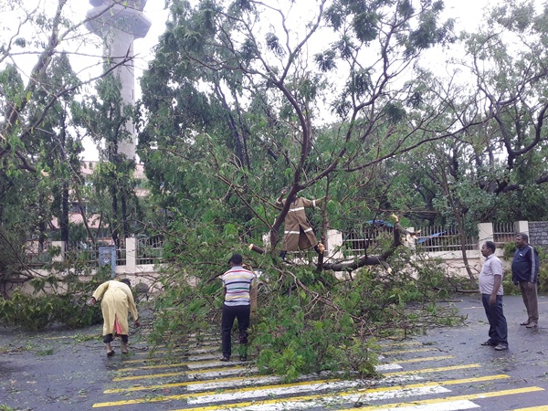 10,000 electric poles damaged in tamilnadu 