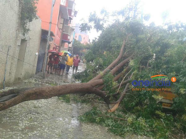 Cyclone Vardah: Chennai receives heavy rain and wind 