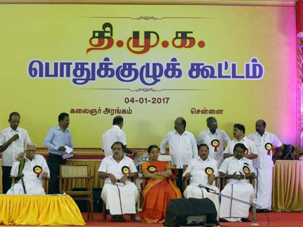 செயல்தலைவராக நியமனம் 