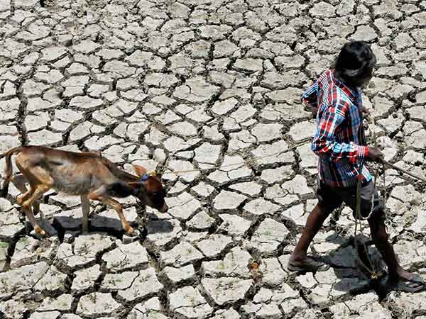 தாண்டவமாடும் வறட்சி