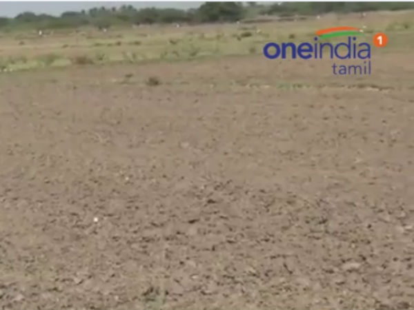 என்ன செய்வது? என்ன செய்வது?