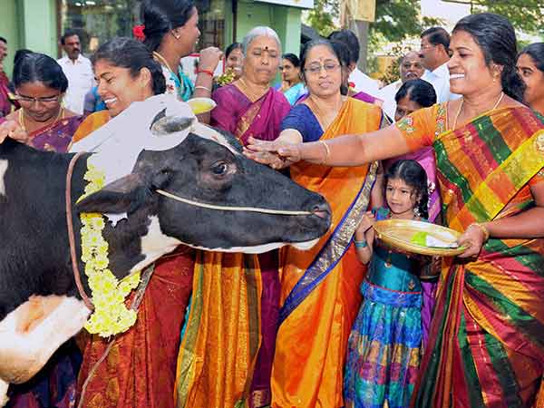 புதிய பண்டிகைகள் புதிய பண்டிகைகள்