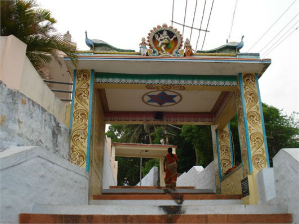 மஞ்சள் விலை உயர்வு 