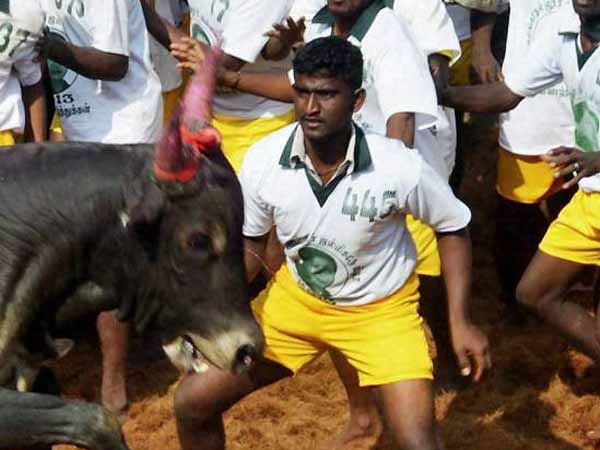 ஏறுதழுவுதல்