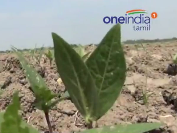 கடன் தள்ளுபடி 