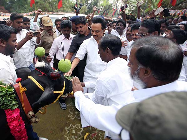 ஜல்லிக்கட்டு போராட்டங்கள்