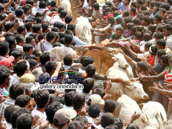 குவிந்த இளைஞர்கள் 