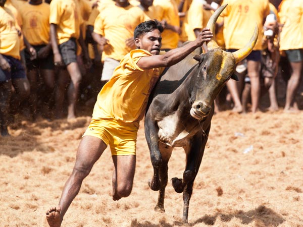 முகுல் ரோத்தகி 