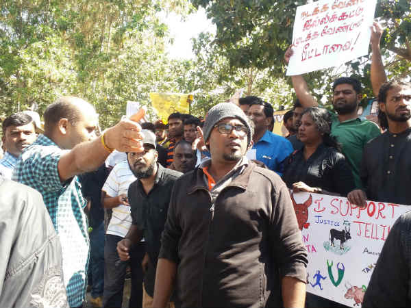 ஜல்லிக்கட்டு 