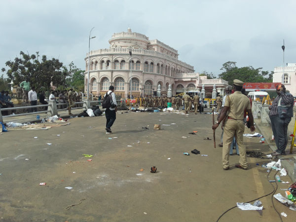 மெரீனா கடற்கரை சீல் 