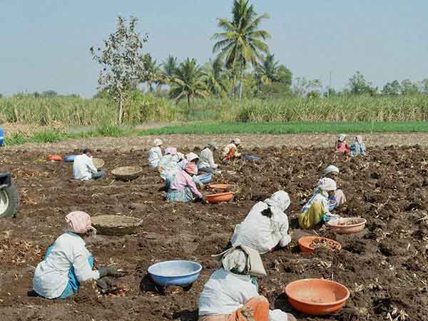 இழப்பீடு வழங்க கோரிக்கை