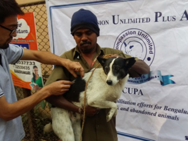 பெங்களூர் அமைப்பு 