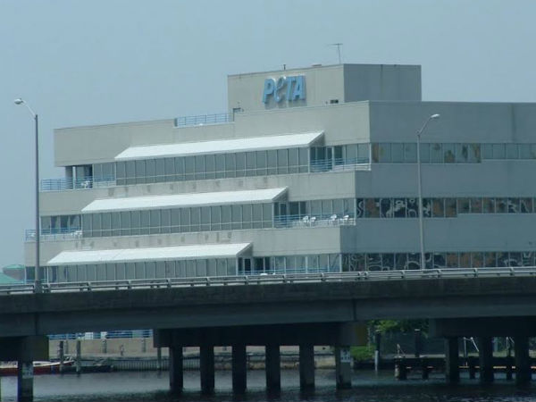 சிக்கல் 