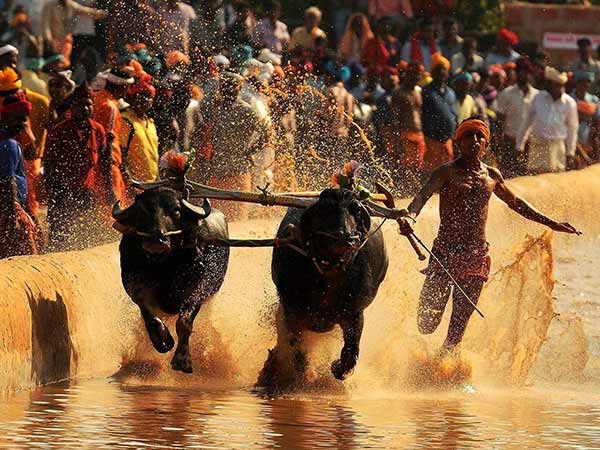 கவனம் தேவை 