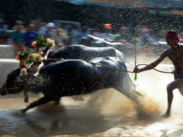 மாநிலம் முழுக்க போராட்டம்