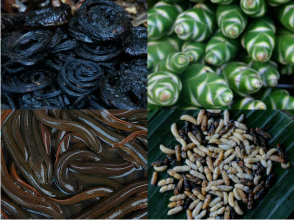 திராணி இல்லையே... 