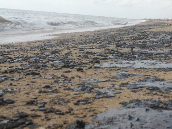 மெரினாவில் 144 தடை ஆணை மெரினாவில் 144 தடை ஆணை