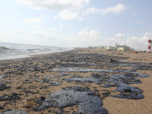 கடலில் கலந்த கச்சா எண்ணெய் கடலில் கலந்த கச்சா எண்ணெய்