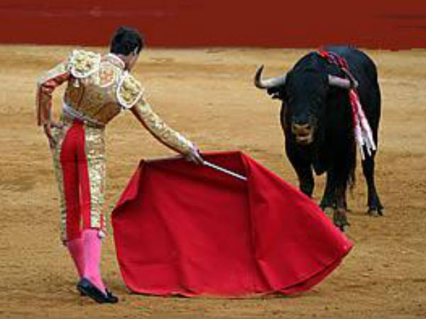Differences between Spain bull fights and the Jallikattu 